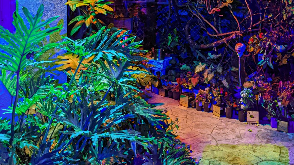 Welcome to Rainbow&nbsp;Oasiiis