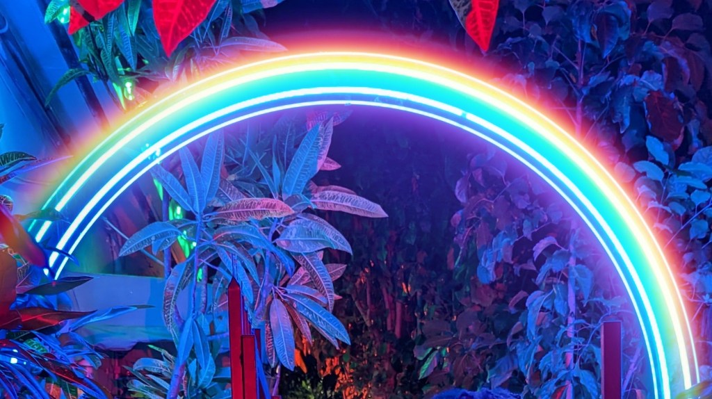 Introducing Ruth Burotte: The First Artist at Rainbow&nbsp;Oasiiis