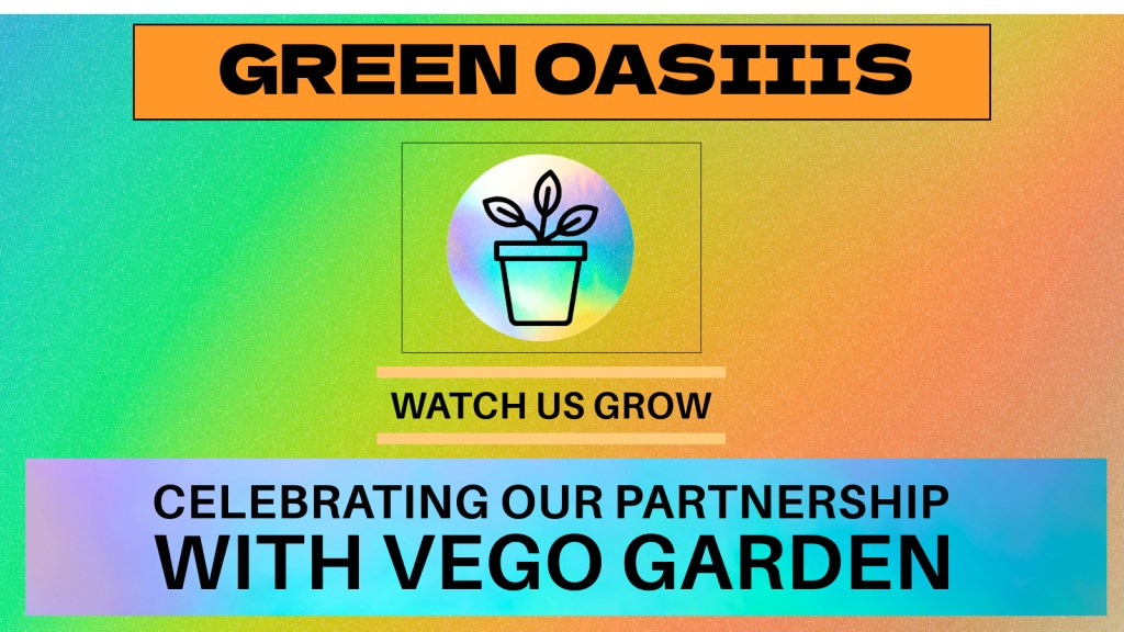 Celebrating Our Partnership with Vego&nbsp;Garden